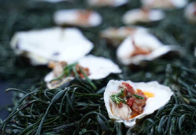 Oyster Bash hosted by Tyler Florence