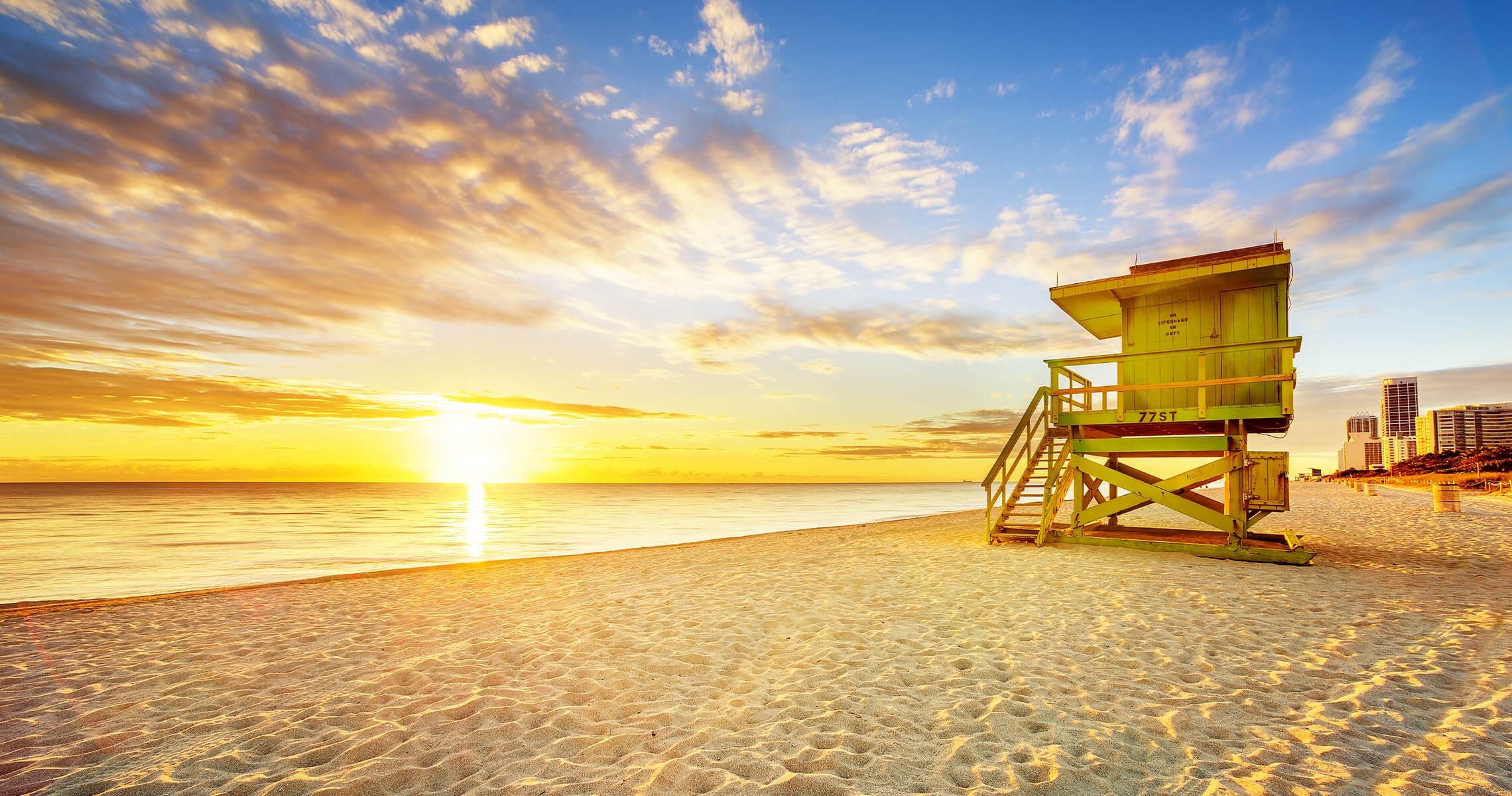 ADA &amp; Service Animal Information - SOBEWFF | February 20 - 23 