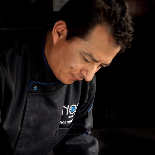 NOECARMONA 167970513 noecaromnarolloceviche