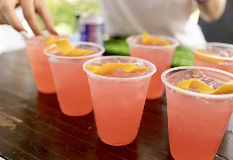 CD099D91 A35A 483E 9477 3E585B302515 1 201 a